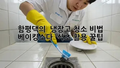 함평댁의 ✨ 냉장고 청소 비법 ✨ 베이킹소다 & 식초 활용 꿀팁!